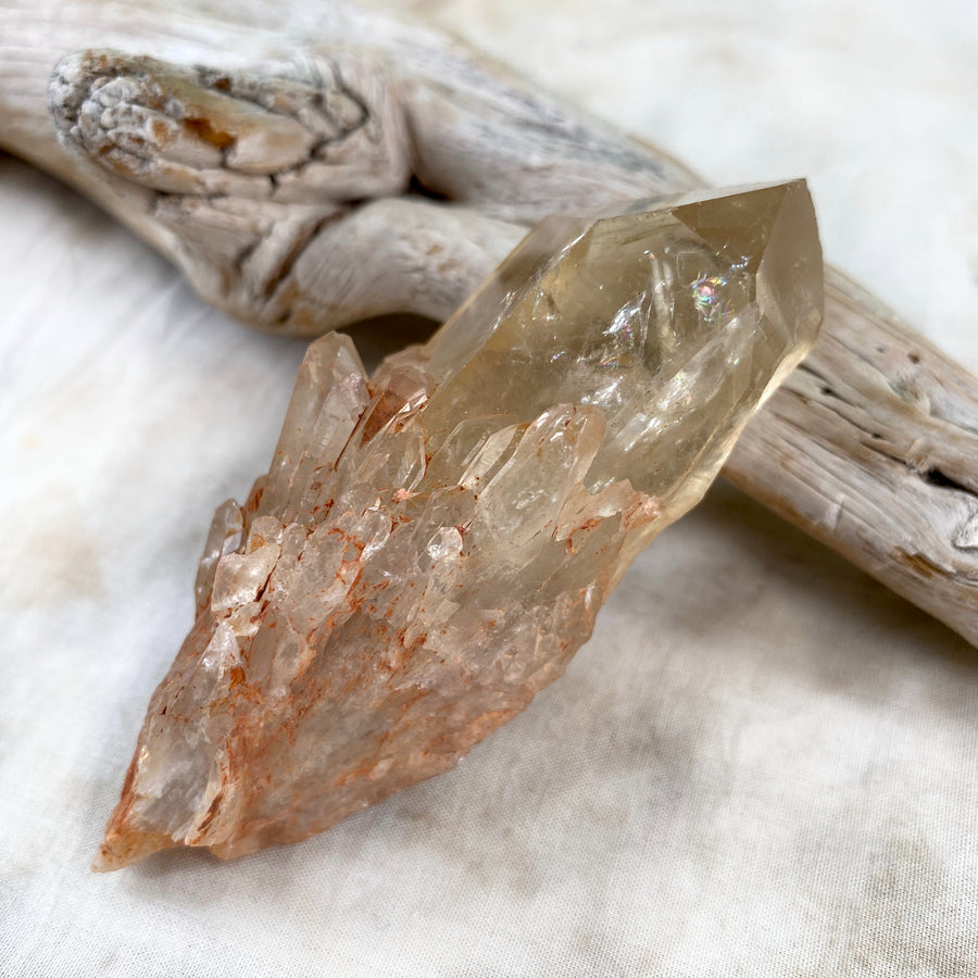 Abundance formation Citrine ~ natural raw point from Congo