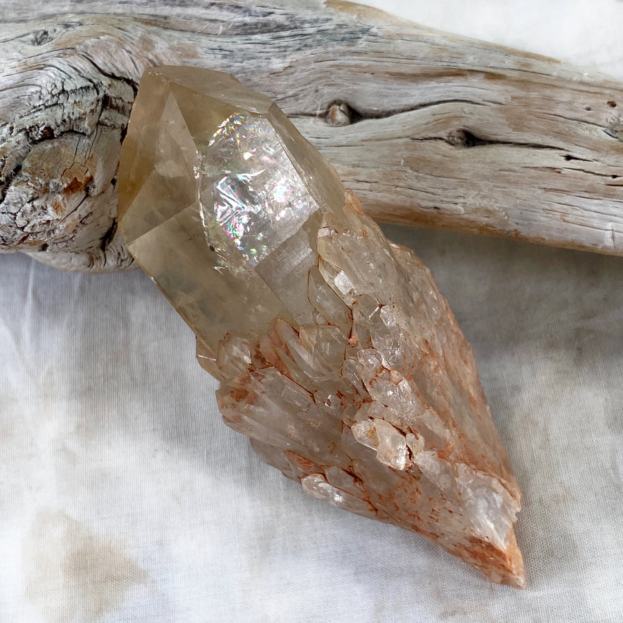 Abundance formation Citrine ~ natural raw point from Congo