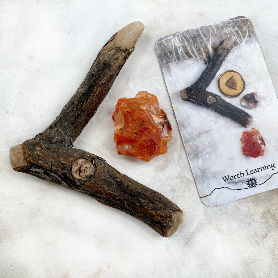 Altar elements: Carnelian pebble with a Kenaz shaped wood branch (as featured in Spirit Carrier oracle) (Copy)