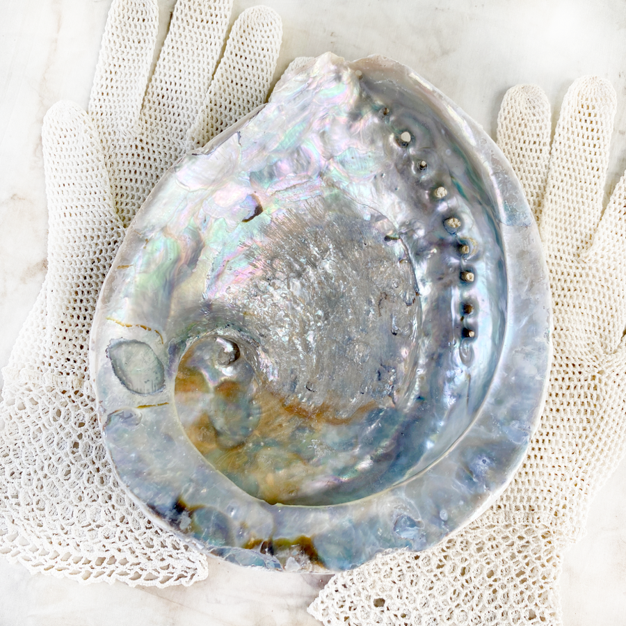 Albourne Shell Abalone shell ~ extra large – Spirit Carrier