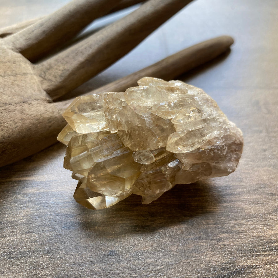 Natural Citrine lightbrary crystal twin-point