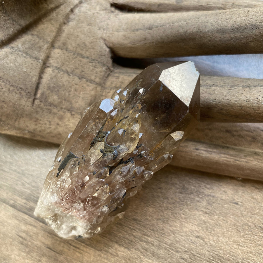 Natural Citrine lightbrary crystal point